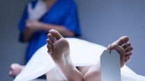 Urychlení rozkladu těla po smrti na zeminu či kompost. V Česku vznikla nová iniciativa