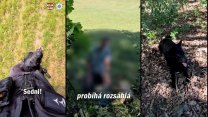 Zajímal se o přežití a utekl do lesa. Pohřešovaného chlapce na Vyškovsku našel policejní pes