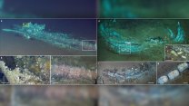 Od pravěku po současnost. Na dně Indického oceánu objevili 1200 km dlouhé pohřebiště velryb