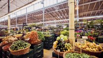 Obliba farmářských trhů roste, za čerstvost a lokálnost jsou lidé ochotni si připlatit