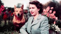 LITERÁRNÍ ESA. Královna Alžběta II. si užívala, když se dělo něco nepatřičného, říká Craig Brown