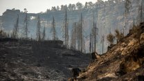 Bývalý strážce Lobotka byl osvobozen ze založení požáru v Českém Švýcarsku