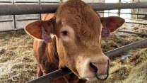 Zemědělský fond prodal biofarmu na Karlovarsku. Kupuje ji šumavský farmář a horolezec Bečvář